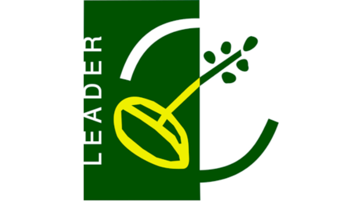 02 leader.jpg